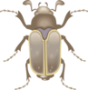 Beetle Art Clip Art